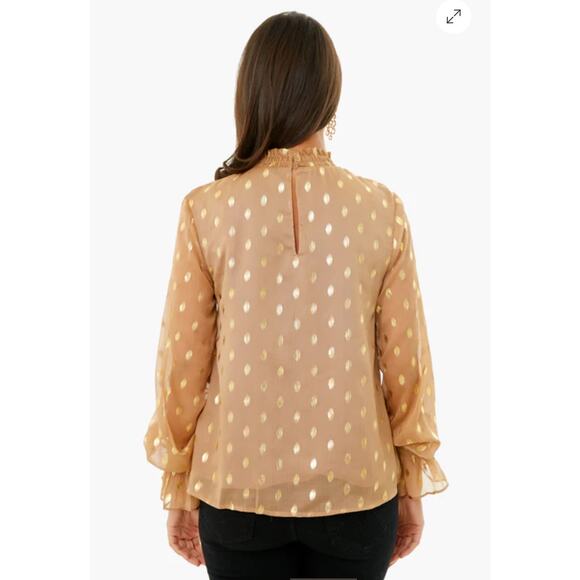 POMANDER PLACE Tan Gold Celeste Blouse Mock Neck Sheer Shimmer Blouse Size Small - Picture 3 of 9